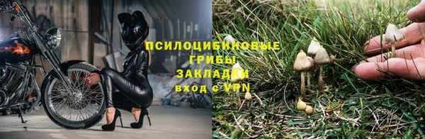 мескалин Пролетарск