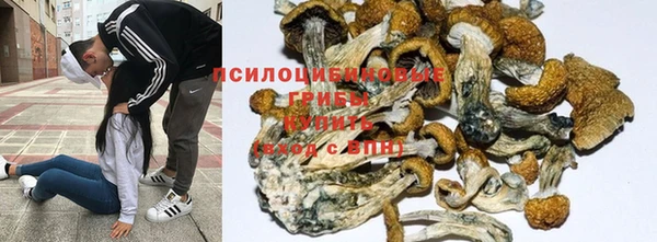 альфа пвп Протвино