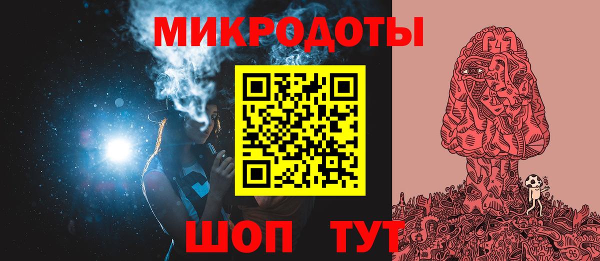 Галлюциногенные грибы Psilocybe Великие Луки