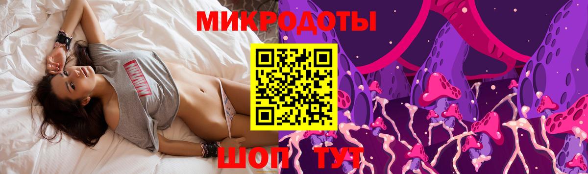 Псилоцибиновые грибы Psilocybe Великие Луки