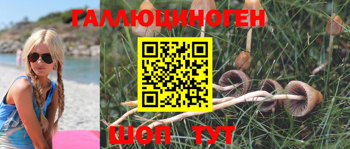 Псилоцибиновые грибы MAGIC MUSHROOMS  цена   Великие Луки 